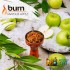 Заказать кальянный табак Burn Famous Apple (Берн Яблоко) 100г онлайн с доставкой всей России